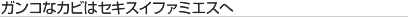 �K���R�ȃJ�r�̓Z�L�X�C�t�@�~�G�X��