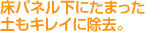 plɂ܂yLCɏB