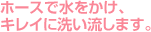 z[XŐA LCɐ􂢗܂B