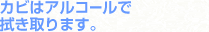 Jr̓AR[Ő@܂B