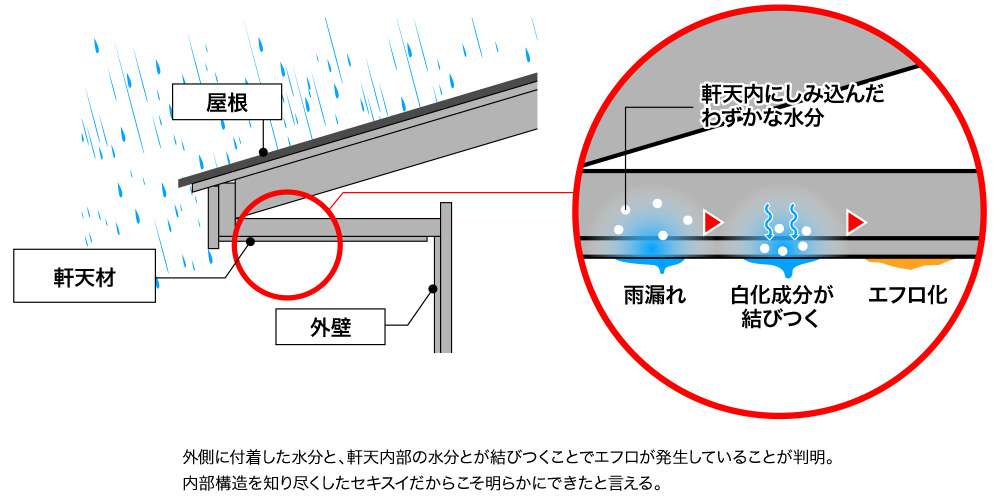 web繝上ｚ繝ｼ繝・ユ繧吶し繧吶う繝ｳ_0727_3.jpg